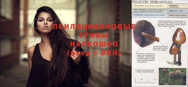 прущие крисы Абинск
