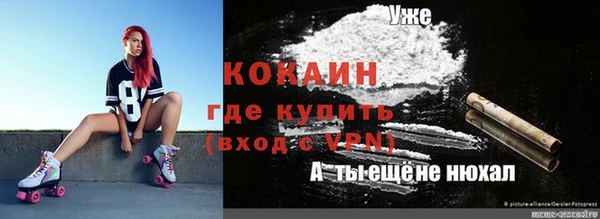соль ск Алексин