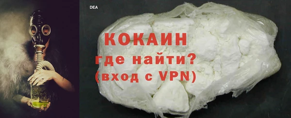 прущие грибы Абаза