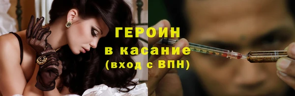 прущие грибы Абаза