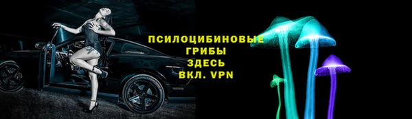 прущие крисы Абинск