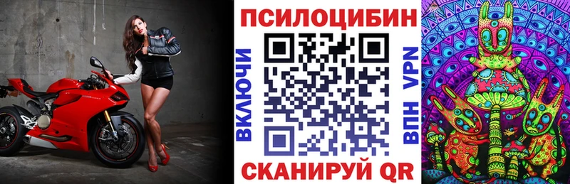 Галлюциногенные грибы Psilocybe  Сольцы 
